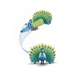 3D kartoninė dėlionė – spalvingas povas