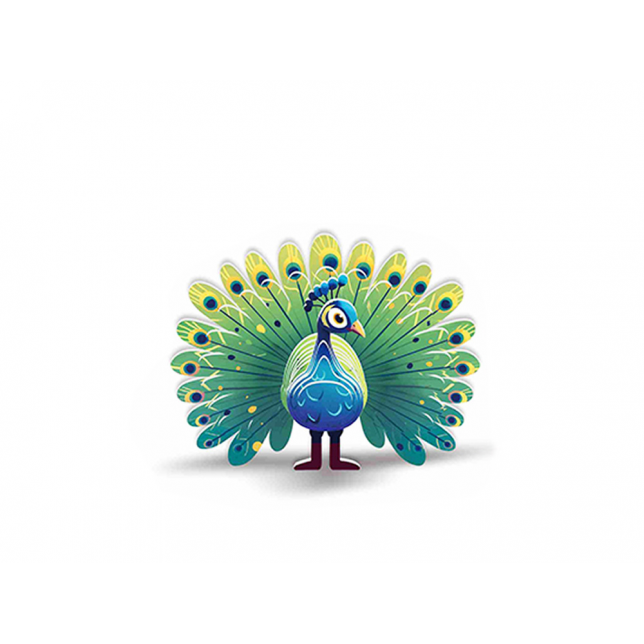 3D kartoninė dėlionė – spalvingas povas
