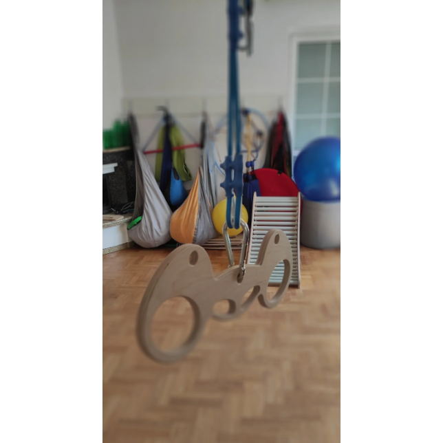 2 viename pakabinamas laikiklis