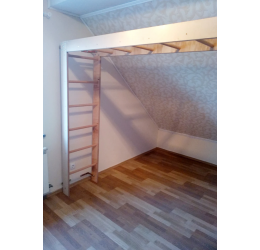 Kopėčios „PADOVAN“