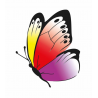 Beleduc lavinamoji priemonė - žaidimas "Betty Fly" (22463)