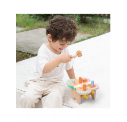 CLASSIC WORLD Montessori pastelinis drugelio plaktukas