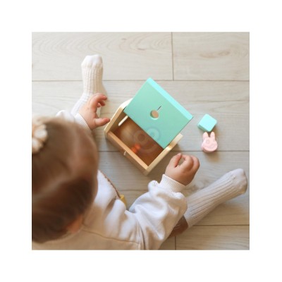 CLASSIC WORLD „Pastel Baby Box“ – pirmieji mokomieji žaislai vaikams nuo 12 iki 18 mėnesių