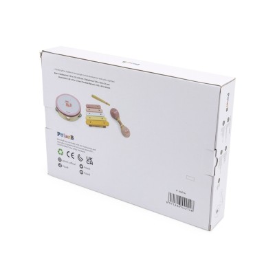 VIGA PolarB muzikos instrumentų rinkinys, rožinis