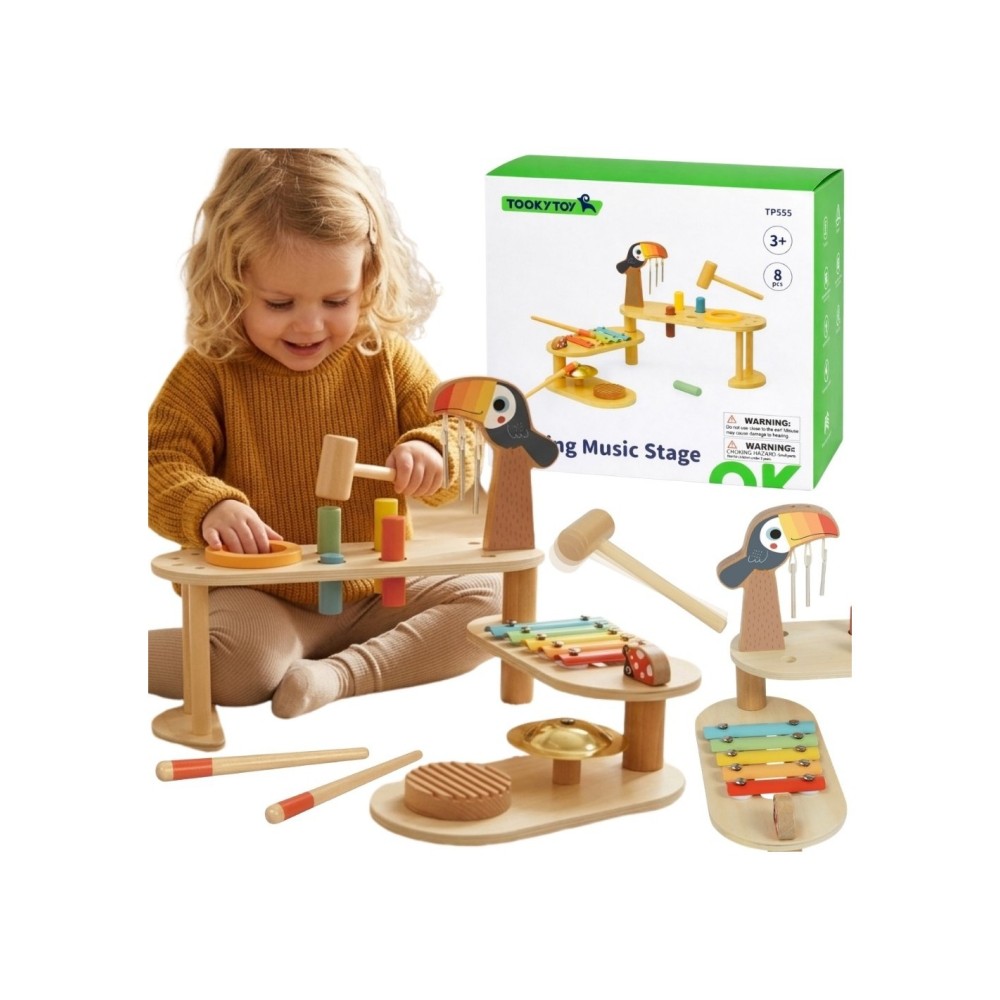 Edukacinis muzikinis staliukas TOOKY TOY