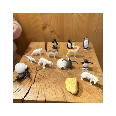 WOOPIE Arkties gyvūnų figūrėlių rinkinys