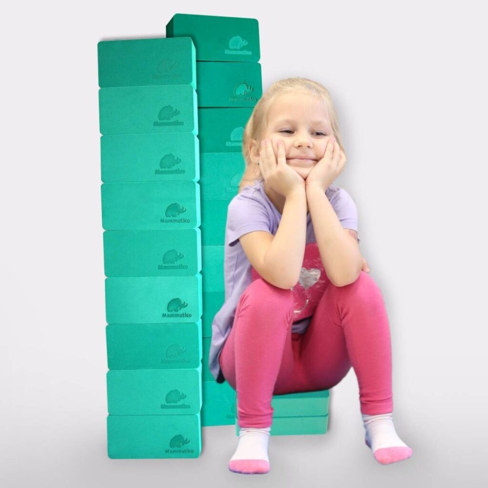 Minkštų plytų rinkinys ,,Basic 20"
