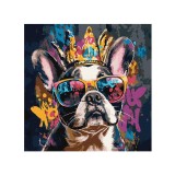 Tapyba Pagal Skaičius ant Drobės „Bulldog“ 40x40cm.