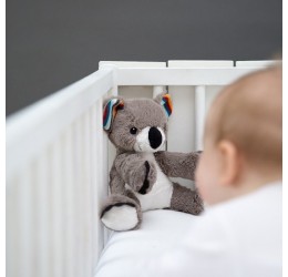ZAZU migdukas koala COCO
