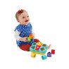 Fisher Price kaladėlių rūšiuoklis "Drugelis"