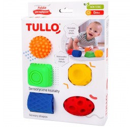 Tullo lavinamosios formelės (5 vnt.)