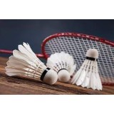 Badmintono prekės - įranga