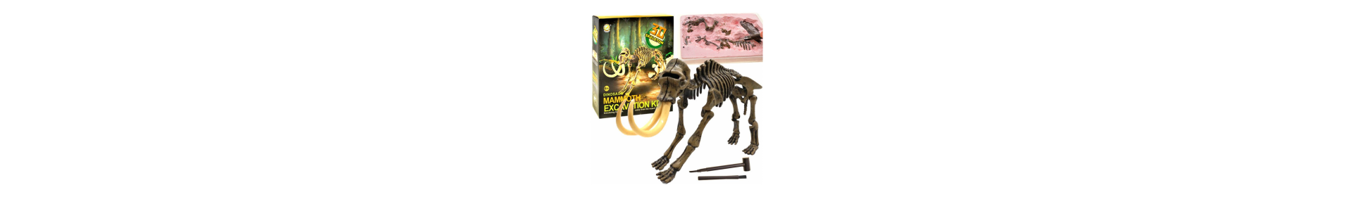 dinozaurų ir kiti archeologiniai kasinėjimai vaikams